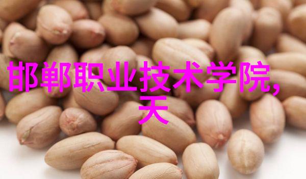 乱世佳人全文阅读指南揭秘 Scarlett 的命运之轮