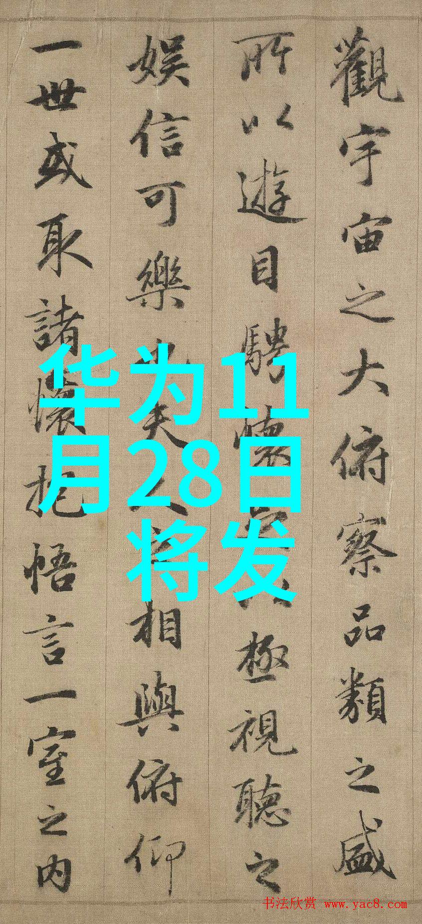 重量之舞机器的秤砣