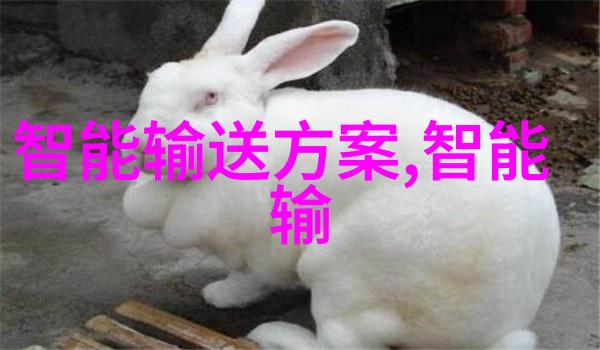 PE管材批发-专业供应商高品质PE管管材批发厂家解决方案