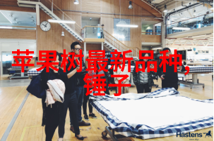 A股市场从熊市到牛市的逆袭之旅