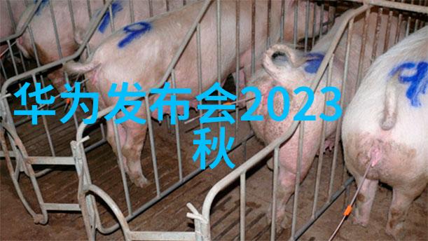 片剂机械-精准压制探索药品生产中的关键设备