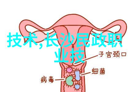不锈钢管退火炉技术与应用概述