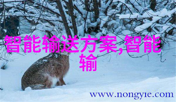 钢骨铮锵的宁静家用不锈钢货架的温馨革命