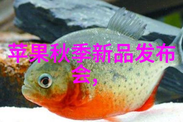 心理素质检测系统完整的入职心理测试题库与解释