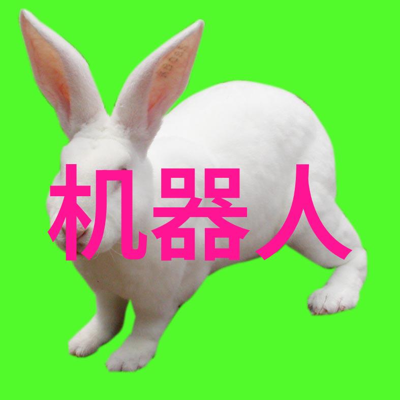 卫生间疯狂打扑克
