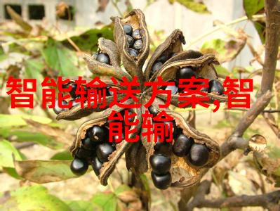 喷漆房怎么抽风效果好 - 提升室内外装修效率喷漆房如何优化抽风系统