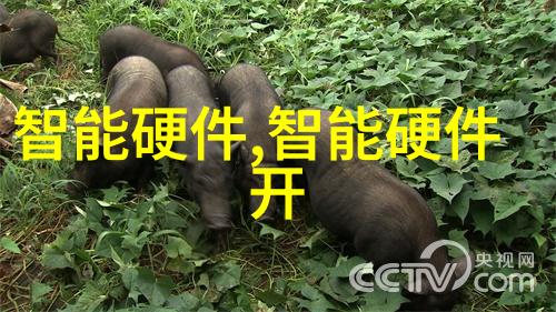 超临界流体SCF式化学生物分离技术探索