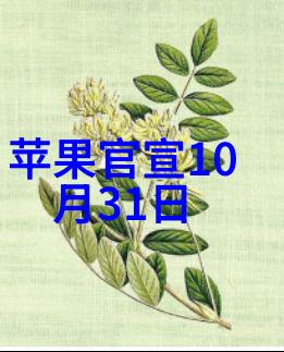 万隆控股股票吧深度解析投资机会与风险管理策略