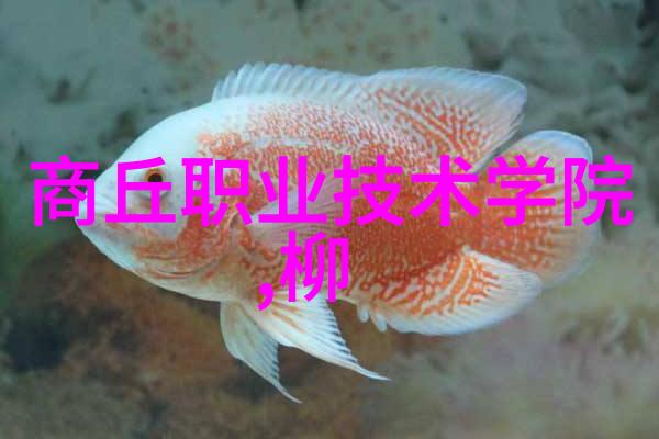 960化工网我是如何在网上找到了最精准的化工信息