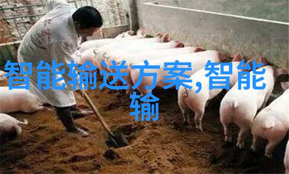 芯片界联合阵线26家企业齐聚华为共筑科技未来