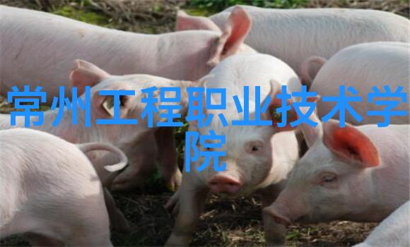 水质分析的智慧之光探索总氮测定仪的奥秘
