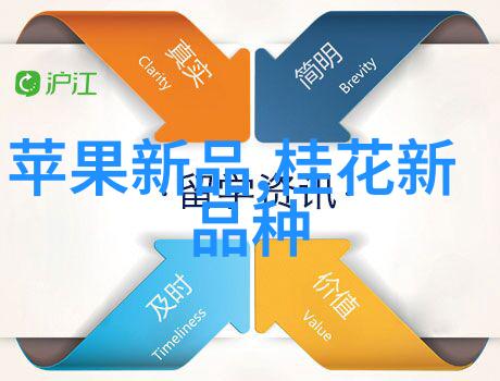 全国建筑市场监管公共服务平台构建信誉体系提升行业透明度