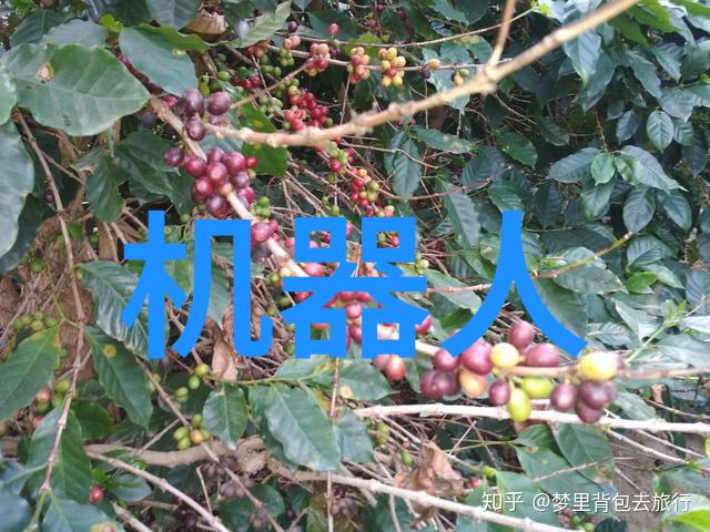云南财经大学的校园环境如何呢