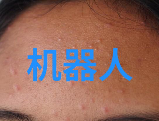 智能流动机器的精细搬运者