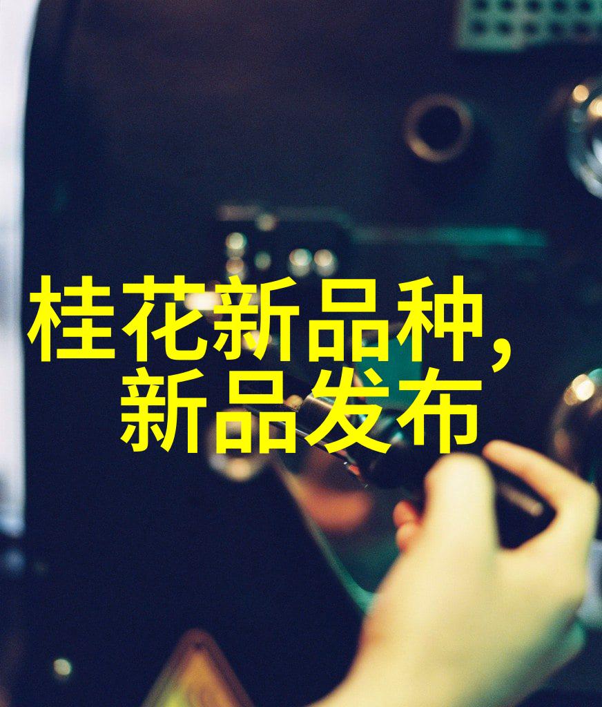 丝网填料与波纹填料的比较性能分析与应用指导