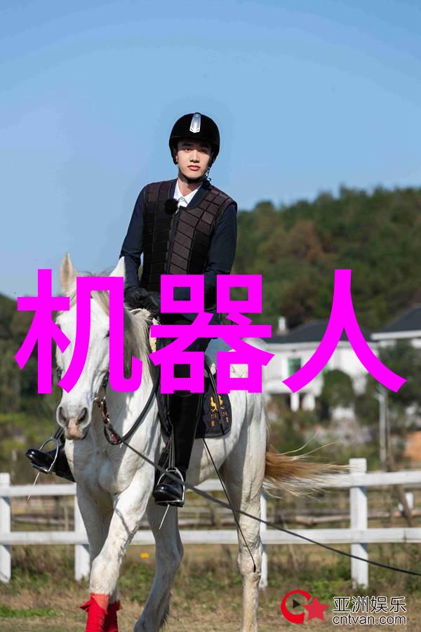 不锈钢矩鞍环填料标准制定与应用实践