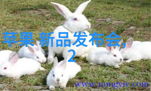 小区内安装的高效能水净化器提供清洁透明的纯净水解决方案