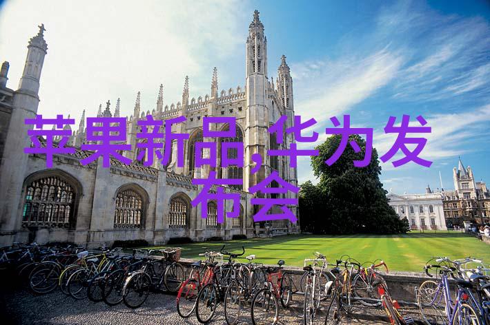 蒸汽发生器原理-高效能量转换揭秘蒸汽发生器的工作原理