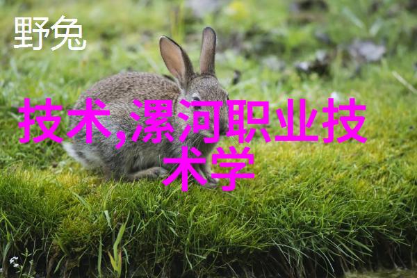 江苏不锈钢厂家隐秘的利益与闪耀的金属之谜