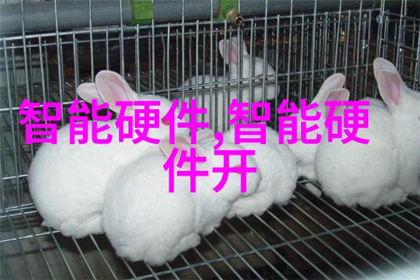 老太太VPSWINDOWS45老年女性虚拟私人服务器操作Windows系统的经验