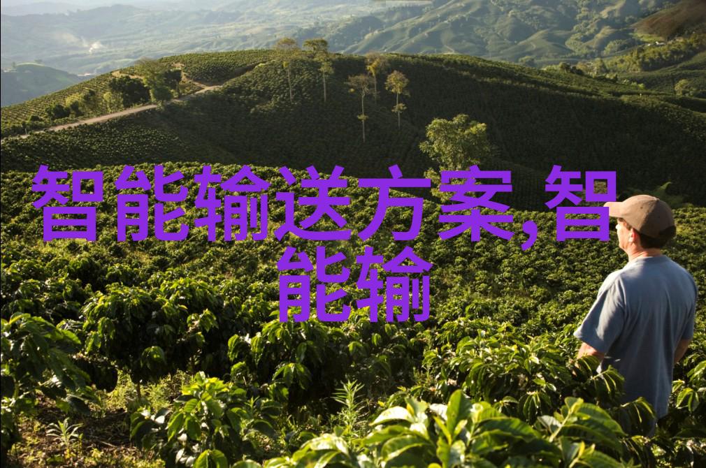 农村情侣电动车野战田园风光中的浪漫驾驶