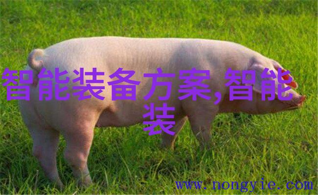 化工混合搅拌设备物料的和谐舞者