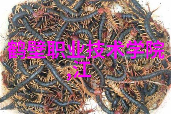 材料之谜探索Cy700填料的奥秘