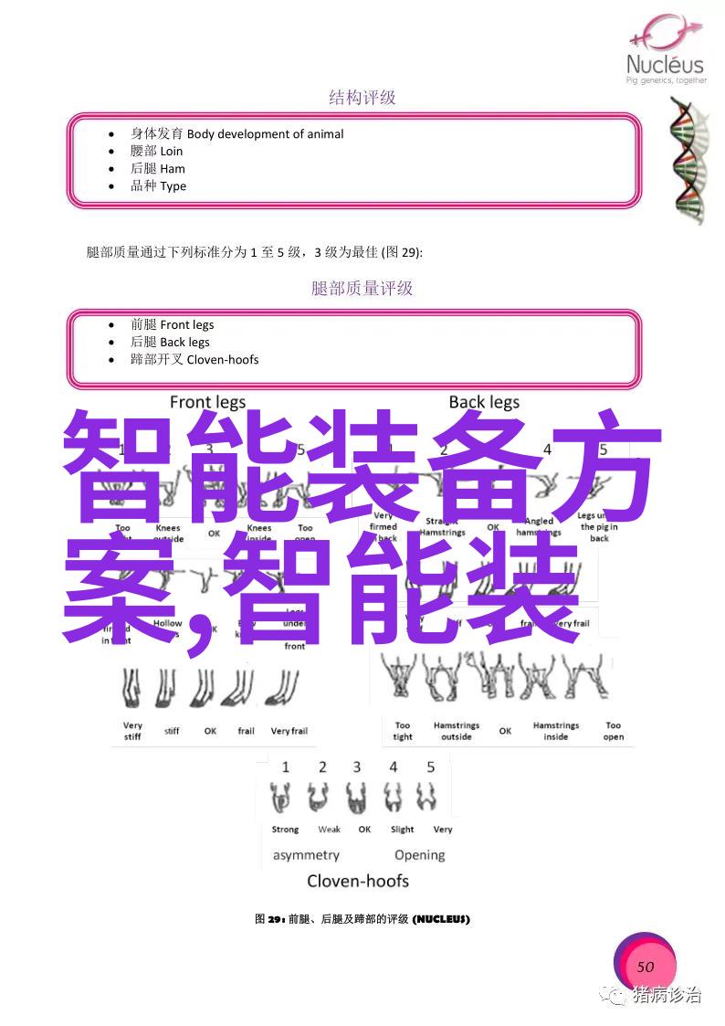 新一代食用菌自动化装袋技术的兴起与未来趋势