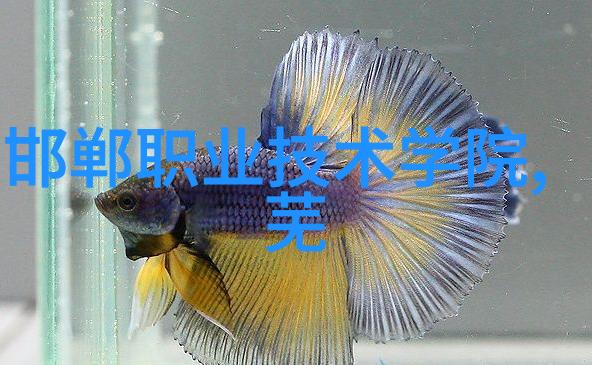内蒙古财经大学如何吸引和培养优秀的教师队伍