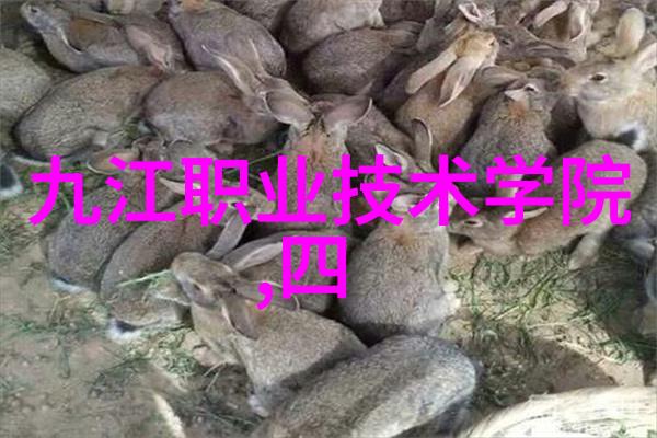 智能装备制造技术就业前景智能制造装备技术职业机会