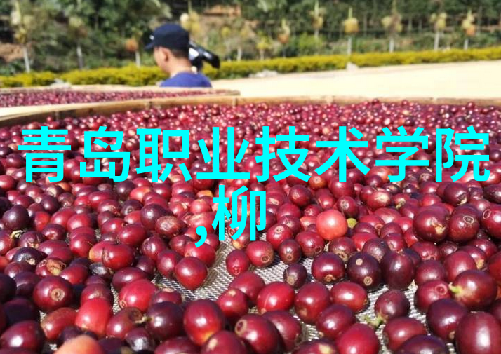 全国等保测评公司-守护每一份安全全国等级防火抗震环境保护测试评估公司的重要性与挑战