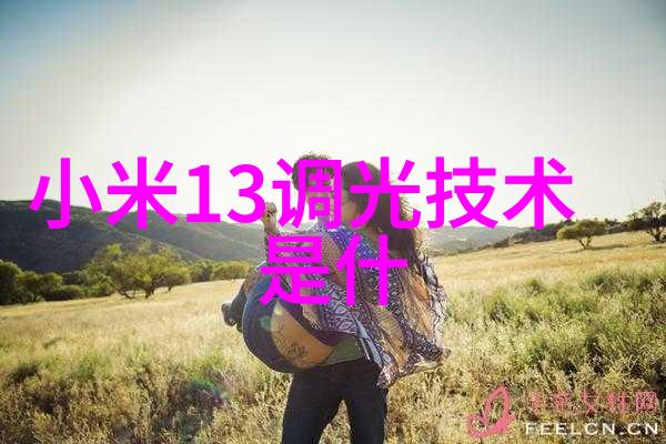 污水处理一体化设备系统大型污水处理设备的高效集成技术