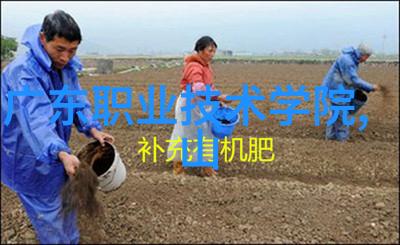 红星美凯龙家电销售市场如何看待