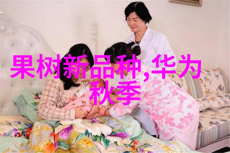 探索中文的魅力与文化深度