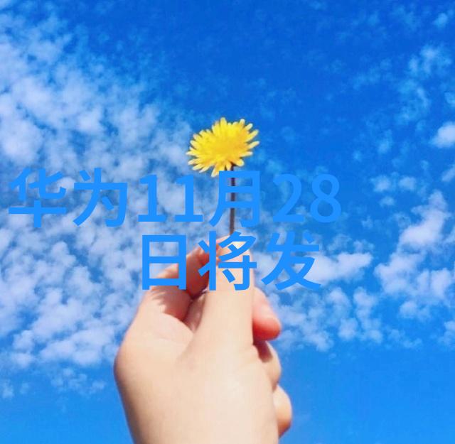 膜分离设备的原理之谜如何解开它的工作奥秘