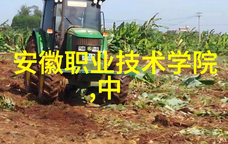 追求卓越山东外国语职院的教育理念