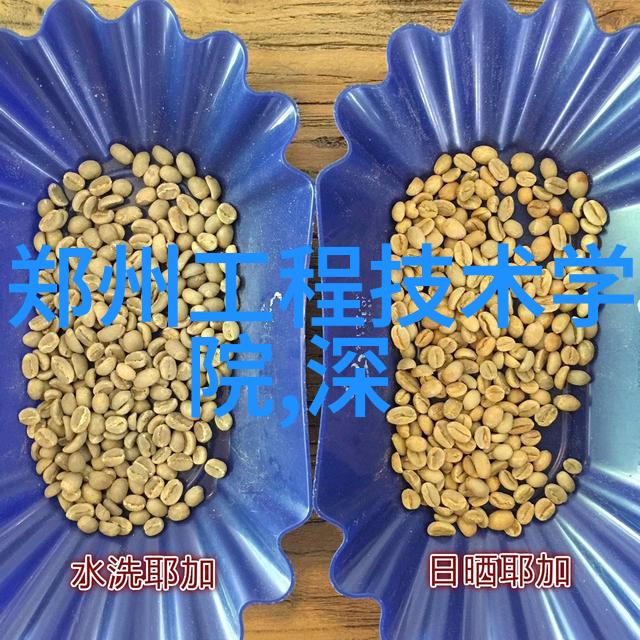 管式反应器的动态运作与化学物质交换机制探究