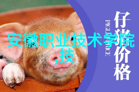 化工填料装填技术与应用概述