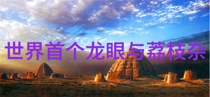 市场监督管理局客服电话守护消费者权益的温暖声线