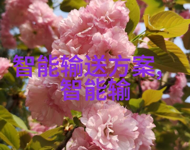平板电脑新品-探索最新平板电脑的科技与创意