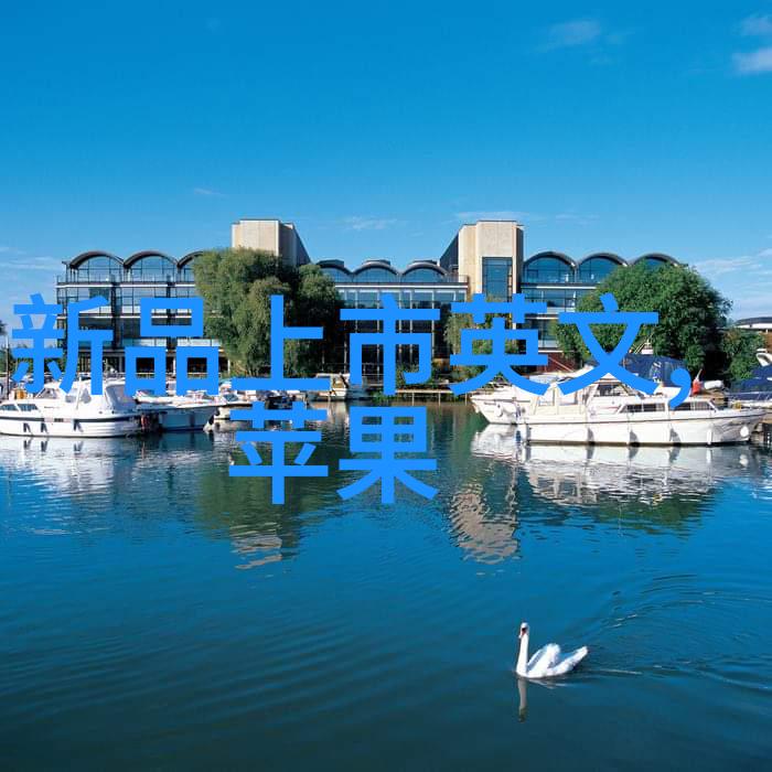 哪款扫地机器人最受欢迎探秘华为发布会2023新品发布时间后十大品牌的排名再现
