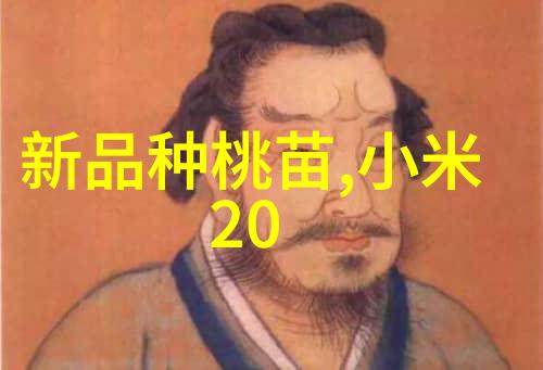 郑州工程技术学院-创意与实践交汇的学术殿堂