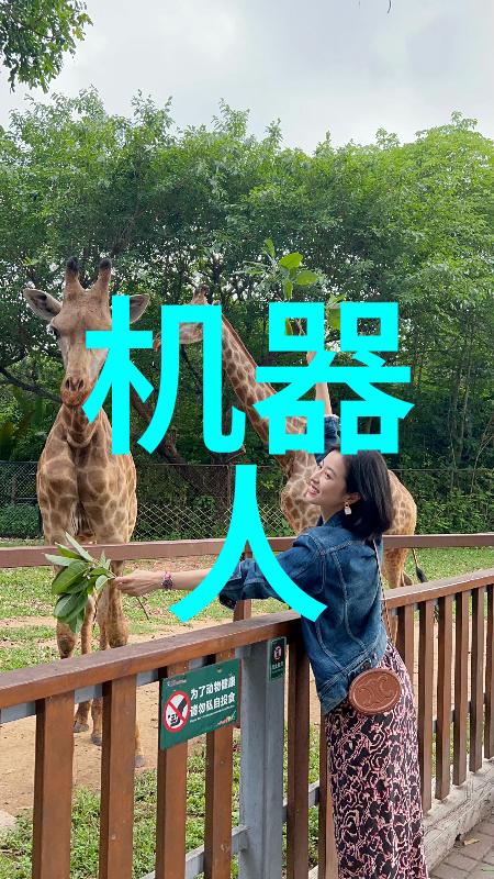 老太太交视频探秘BGMBGMBGM社群背后的故事与文化意义