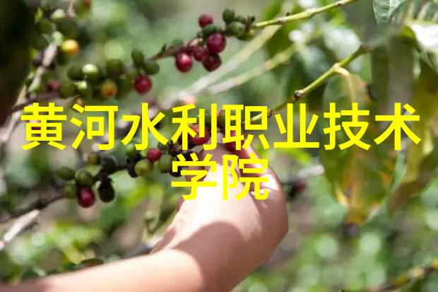 工控机器视觉技术邦纳BVI全生命周期管理守护每一步精细生产