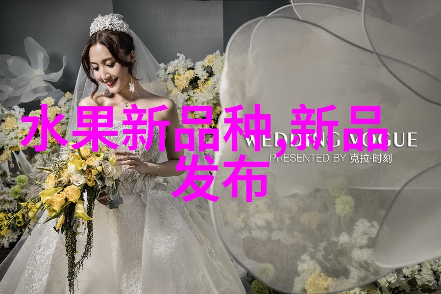 软化水处理设备高效除垢系统