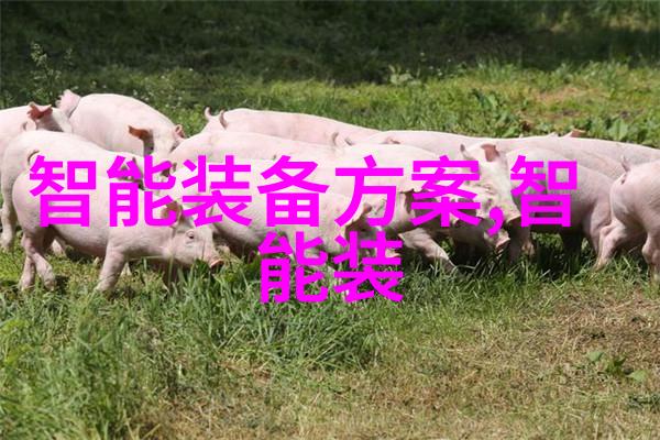 深圳技术大学未来科技的摇篮与古老校园的怀旧