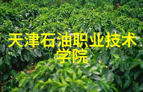 在观看这段视频后观众通常会有什么样的感受或反应呢