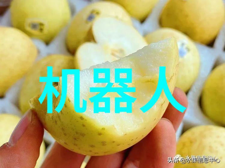 中国工程院院士倪光南推进开源RISC-V健全强化集成电路全产业链促进北斗芯片应用在社会各领域的深入融