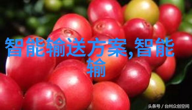 岁月中的暖阳文男主小后妈的温馨故事