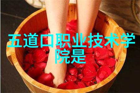 带式干燥机我的干物品守护者